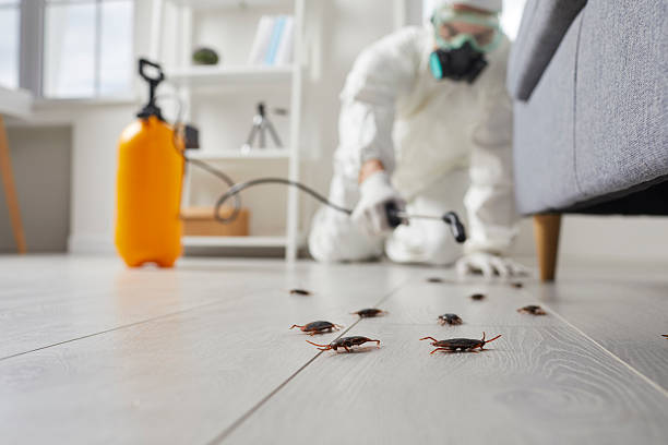 Commercial Kitchen Cockroach Control in Middlefield